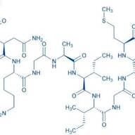 Amyloid β-Protein (25-35)