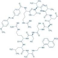 Fluorogenic Human CMV Protease Substrate