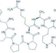 Fibronectin Adhesion-Promoting Peptide