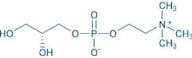sn-Glycero-3-phosphocholine