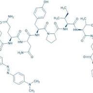 DABCYL-γ-Abu-Ser-Gln-Asn-Tyr-Pro-Ile-Val-Gln-EDANS