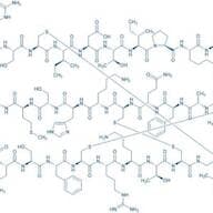 Stichodactyla helianthus Neurotoxin (ShK)