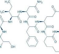 Ovalbumin (257-264) (chicken)