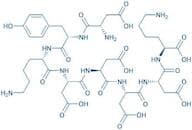 DYKDDDDK Epitope Peptide