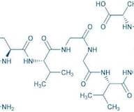 Amyloid β-Protein (33-42)