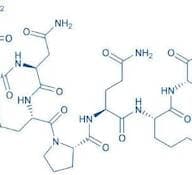 Neuropeptide VF (124-131) (human)