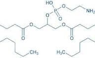 1,3-Dipalmitoyl-glycero-2-phosphoethanolamine