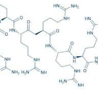H-Arg-Arg-Arg-Arg-Arg-Arg-Arg-Arg-Arg-OH