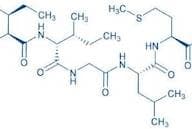 Amyloid β-Protein (31-35)