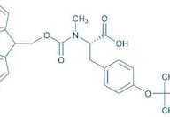 Fmoc-N-Me-Tyr(tBu)-OH
