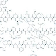 6-FAM-AEEAc-Stichodactyla helianthus Neurotoxin (ShK)