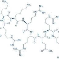 HIV-1 tat Protein (47-57)
