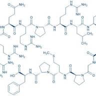 Apelin-17 (human, bovine, mouse, rat)