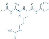 Ac-Gly-Ala-Lys(Ac)-AMC