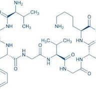 Calcium-Like Peptide 3
