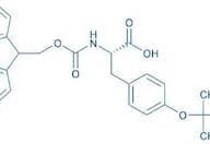Fmoc-Tyr(tBu)-OH