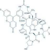 ((R)-4-Hydroxy-4-methyl-Orn(FITC)⁷)-Phalloidin