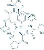 ((R)-4-Hydroxy-4-methyl-Orn⁷)-Phalloidin