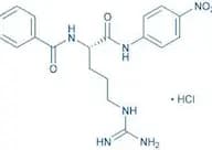 Bz-Arg-pNA · HCl