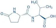 Pyr-Val-OH