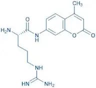 H-Arg-AMC