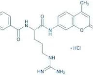 Bz-Arg-AMC · HCl