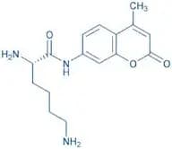 H-Lys-AMC