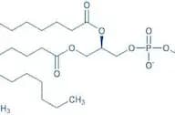 L-β-Oleoyl-γ-palmitoyl-α-lecithin