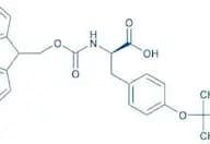Fmoc-D-Tyr(tBu)-OH