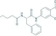 Glutaryl-Phe-AMC