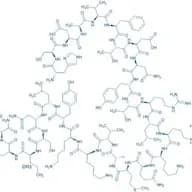 VIP (human, mouse, rat)