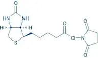 D-Biotinyl-OSu