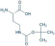 H-Dab(Boc)-OH