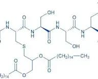 Mitogenic Pentapeptide