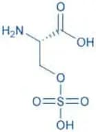 H-Ser(SO₃H)-OH