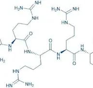 H-Arg-Arg-Arg-Arg-Arg-Arg-OH