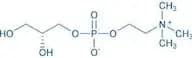 sn-Glycero-3-phosphocholine