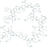 Ghrelin (mouse, rat)