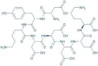 DYKDDDDK Epitope Peptide