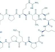 Apelin-12 (human, bovine, mouse, rat)