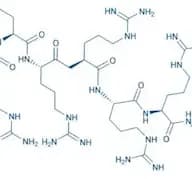H-Arg-Arg-Arg-Arg-Arg-Arg-Arg-Arg-Arg-OH