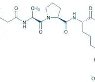 Mca-Ala-Pro-Lys(Dnp)-OH
