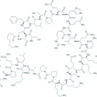 ([¹³C₆]Leu⁵)-Ghrelin (human)