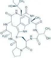 ((R)-4-Hydroxy-4-methyl-Orn⁷)-Phalloidin