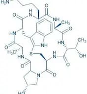 (Lys⁷)-Phalloidin