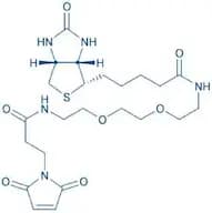 Biotinyl-PEG2-maleimide