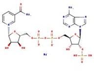 β-Nicotinamide adenine dinucleotide phosphate monosodium salt