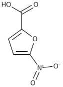 5-Nitro-2-furoic acid, 98+%