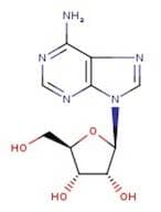 Adenosine, 99%