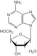 2'-Deoxyadenosine monohydrate, 99%